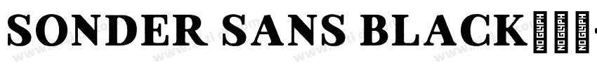 Sonder Sans Black免费下字体转换